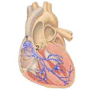 Retledningssystem