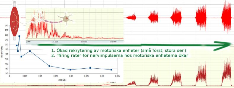 app-EMG-1-biopac