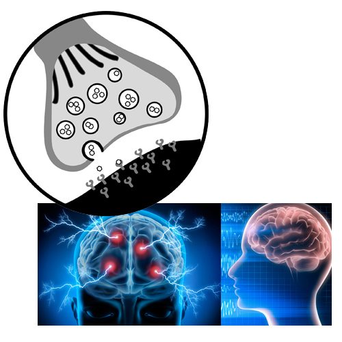 Funktionell hjärnavbildning EEG